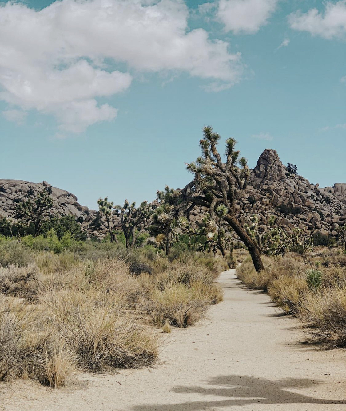 Plan Ahead and Prepare: Part 1 of The Leave No Trace Principles