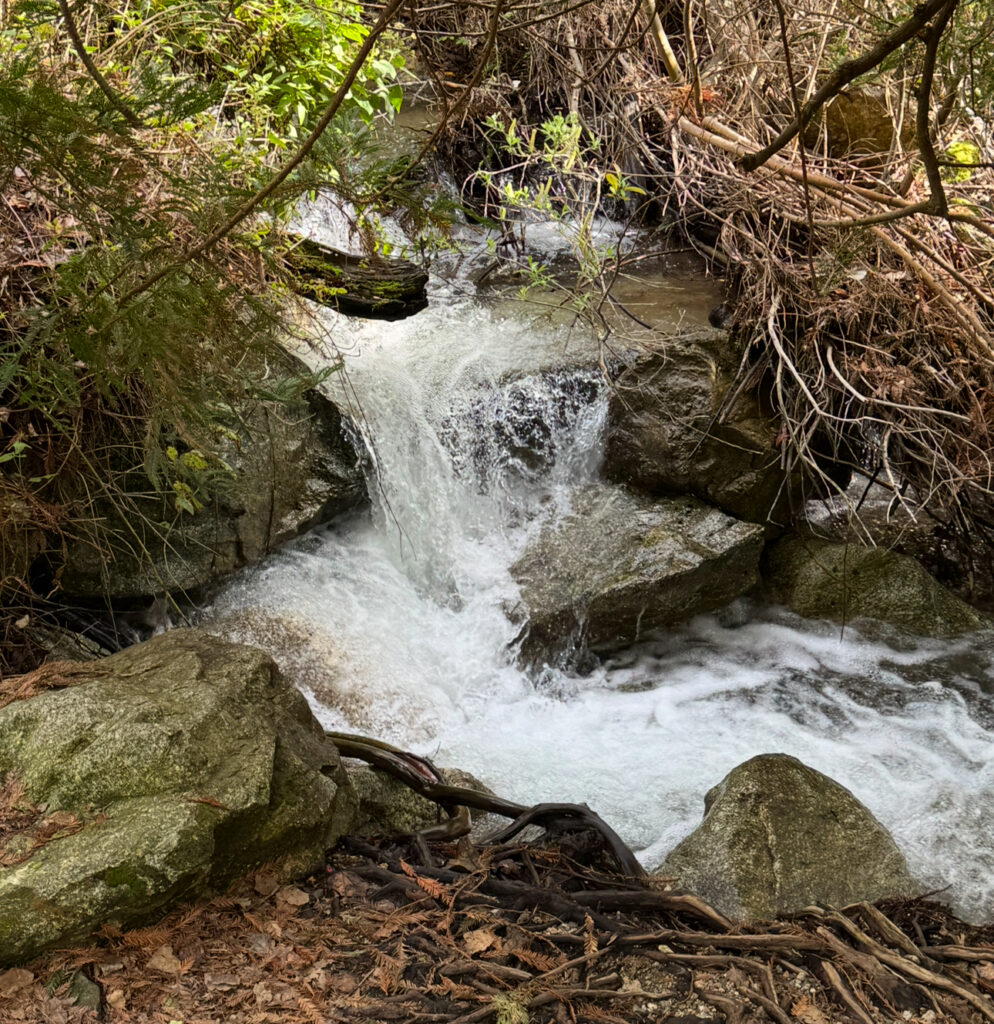 DIY Water Filters: 3 Homemade Solutions in the Backcountry